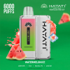 Hayati Infinity 6000 de truse de pod gheata de pepene verde BF68L164 Hayati Vape Flavours