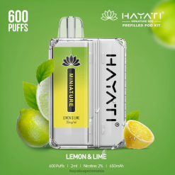 Hayati Miniature 600 de truse de pod lamaie limeta BF68L39 Hayati Store Romania