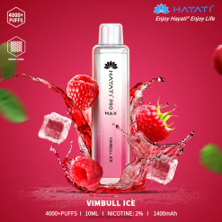 Hayati Pro Max de unică folosință gheață vimbull BF68L126 Hayati Flavour Vapes