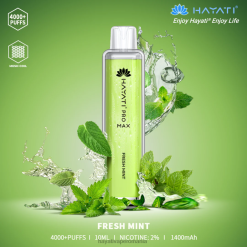 Hayati Pro Max de unică folosință menta proaspata BF68L104 Hayati Vape Flavours